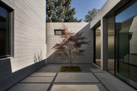 An entry court of board-formed concrete and white plaster walls, a single Japanese maple standing in a bed of grey gravel between two volumes.